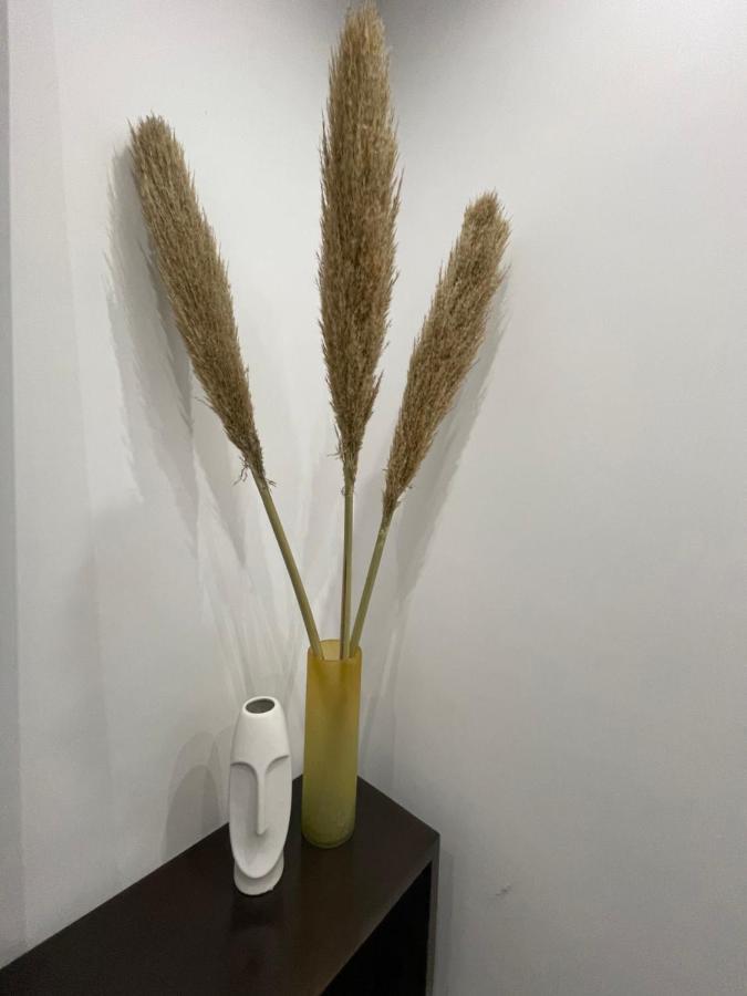 Cosy Confort Apartamento